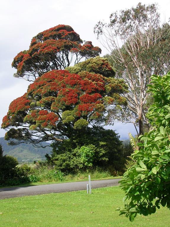 Karamea Holiday Park المظهر الخارجي الصورة